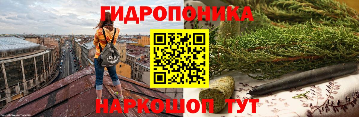 Марихуана конопля  Вход с VPN  Конопля план  Видное 